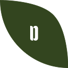 Community way of cooking & eating